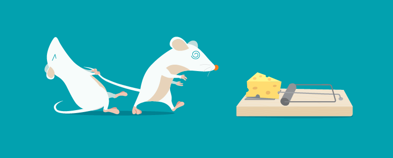 Content Marketing Trends to Watch in 2019