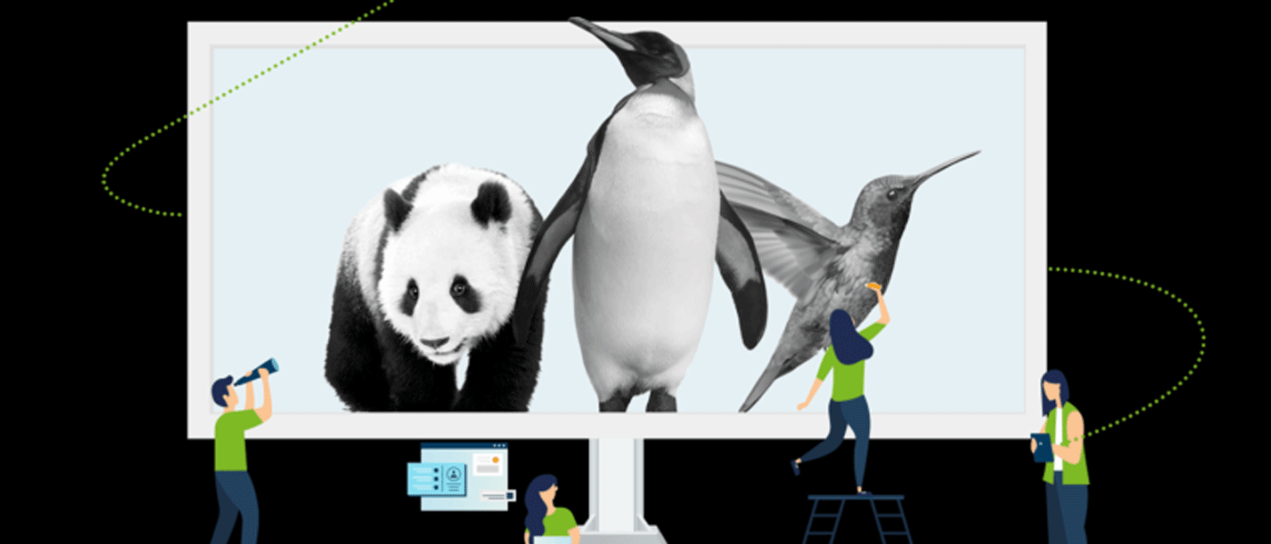 Google Algorithm Update History