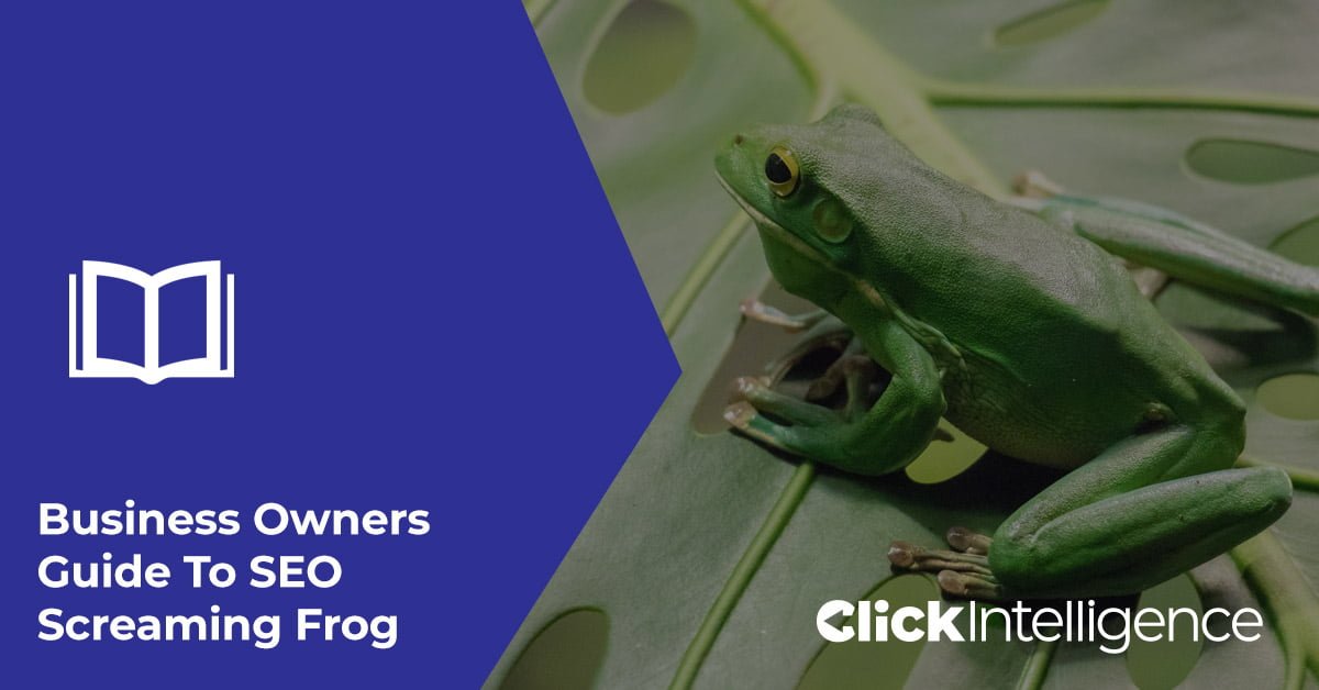 Business Owners Guide To SEO Screaming Frog
