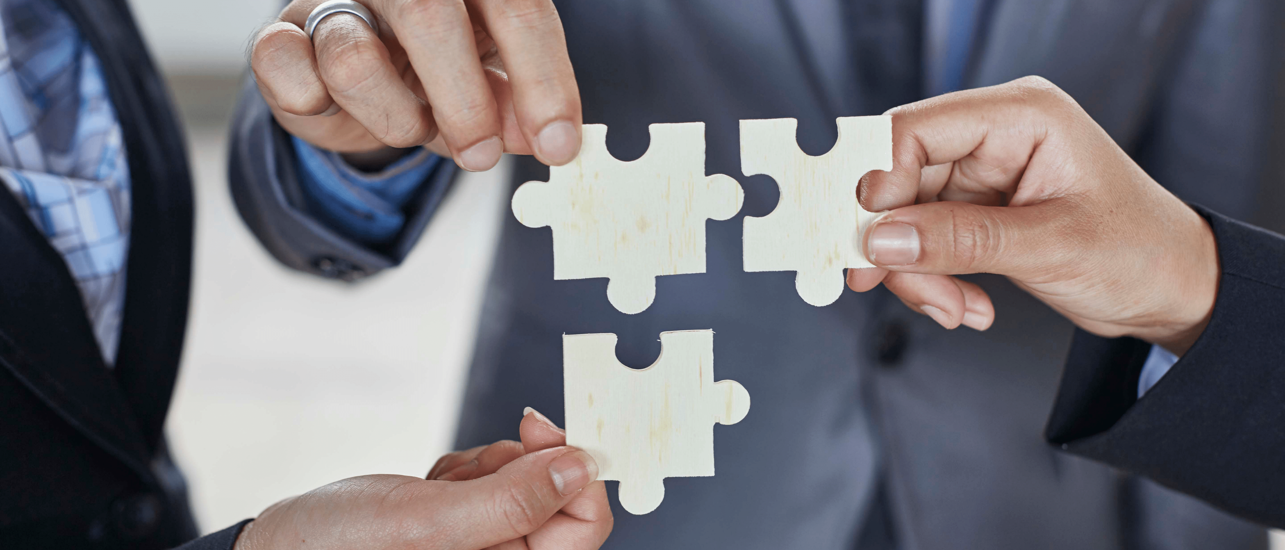 Putting the jigsaw pieces together