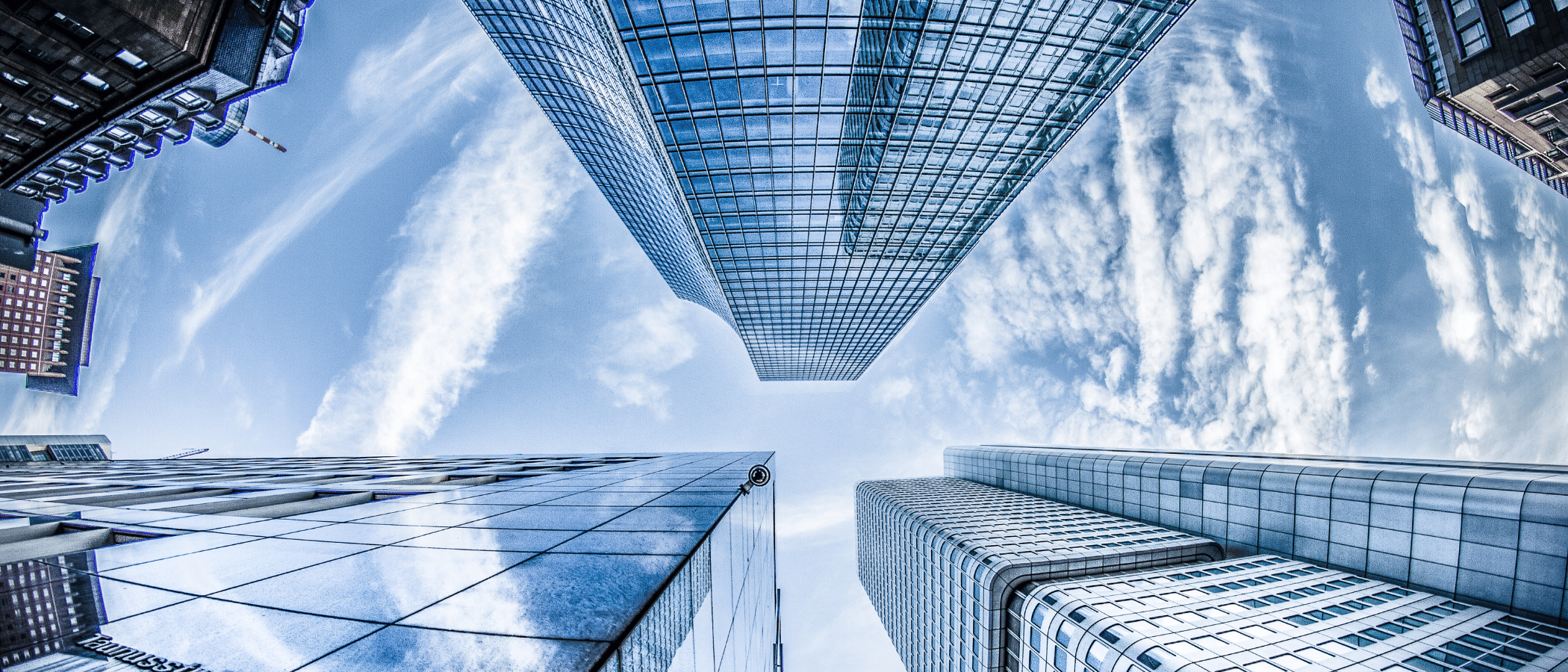 SEO for Enterprise Level